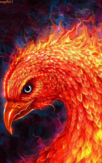 phoenix,naghi63
