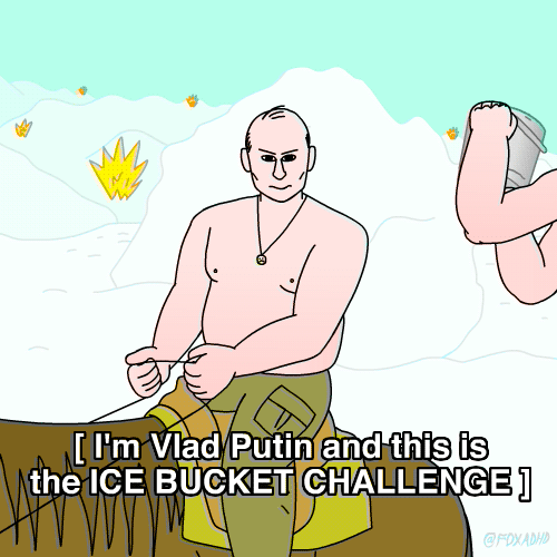 putin,lol,artists on tumblr,foxadhd,david lynch,jeremy sengly,ice bucket challenge