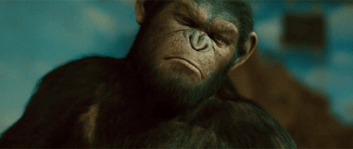 film,planet of the apes,dawn of the planet of the apes,movies,features,total film,film features