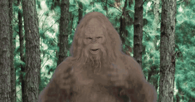 bigfoot,drone,just,capture,todby
