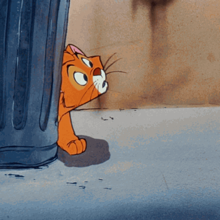 disney,oliver,aww,cat,cute,kitty,kitten,moves,shake it,oliver and company,kitty cat,cat dance