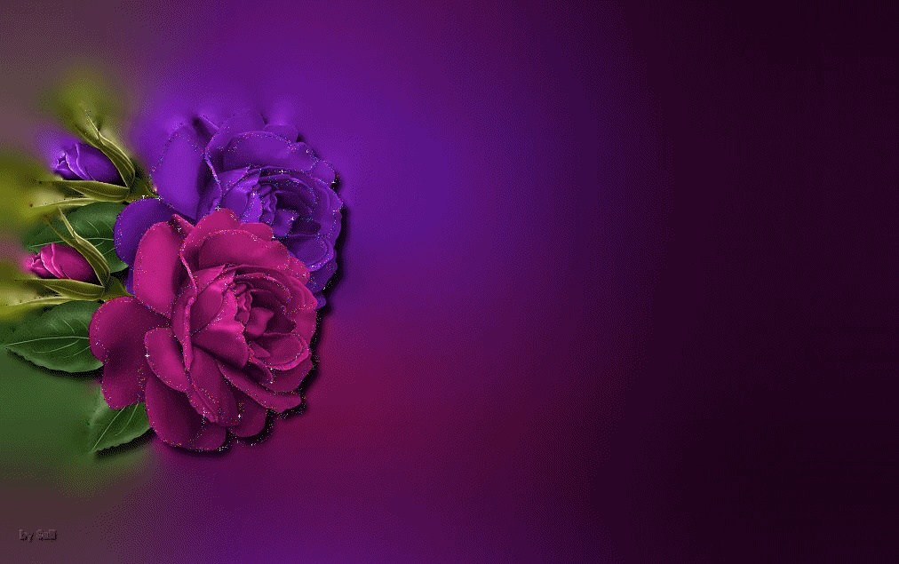 Фиолетовые розы фон. Фон для презентации цветы. Анимационные фоны с цветами. Футаж цветы. Gif фон анимации