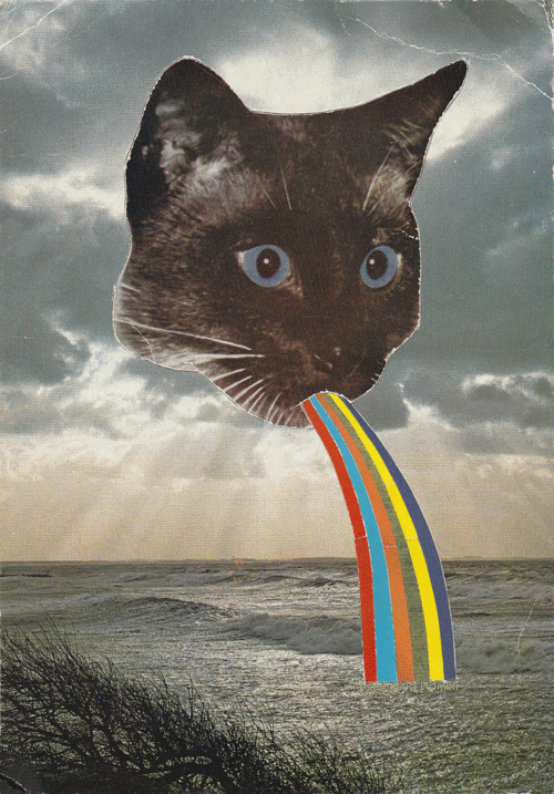 trippy,drugs,cat,cartoon,psychedelic,kitty,acid,party cat
