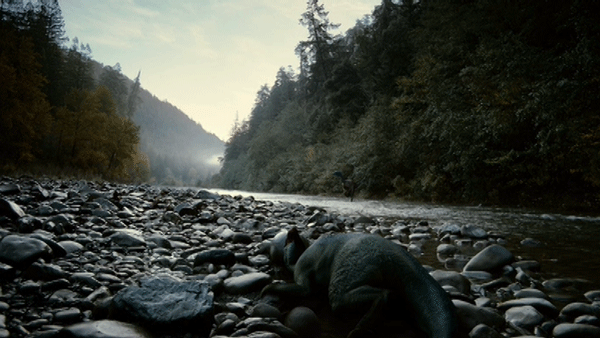 cinemagraph,river,tree,life,dinosaurs