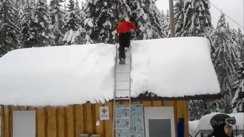 snow,boss,roof