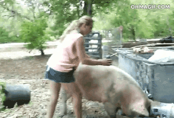weird,lady,pig,drunk,riding,funny,animals,fail,walking,hungry