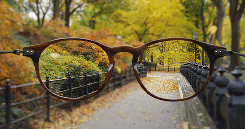 glasses,autumn,halloween,autumn leaves,oc,fall blog