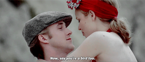 The notebook GIF.