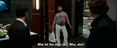 friends,college,the hangover,hangover,skidmore college,night out,who let the dogs out