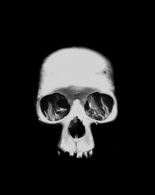 skull,f,horror,creepy,scary