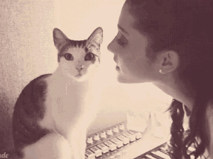ariana grande,cats,kitten,adorable,emotions,problem,bow,the way