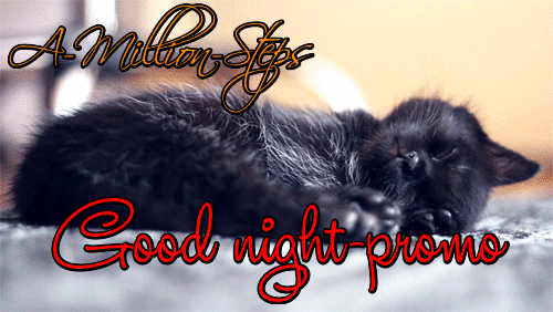 good night,kitten,sweet,promo,sleepy,sleepy kitten