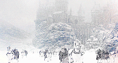 harry potter,winter,nature,cold as hell,christmas,hogwarts,film,roleplay,castle,christmas time