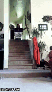 laundry basket,stairs,fail,home video