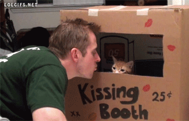 kissing,cat,kissing booth