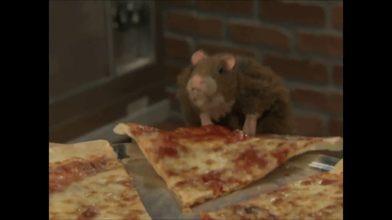 Крыса с пиццей. Мышь с пиццей. Что едят мыши.