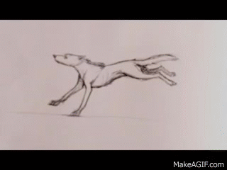 werewolf transformation,werewolf,animation,loop,tumblr featured,traditional animation