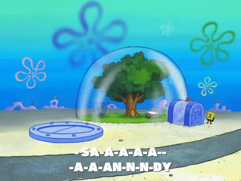 spongebob squarepants,sarcastico,season 8,episode 9