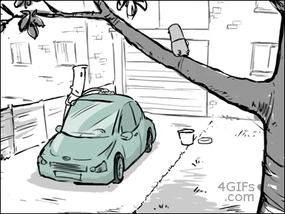 car,birds,wash,cartoons comics
