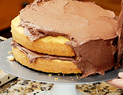 dessert,food,chocolate,cake