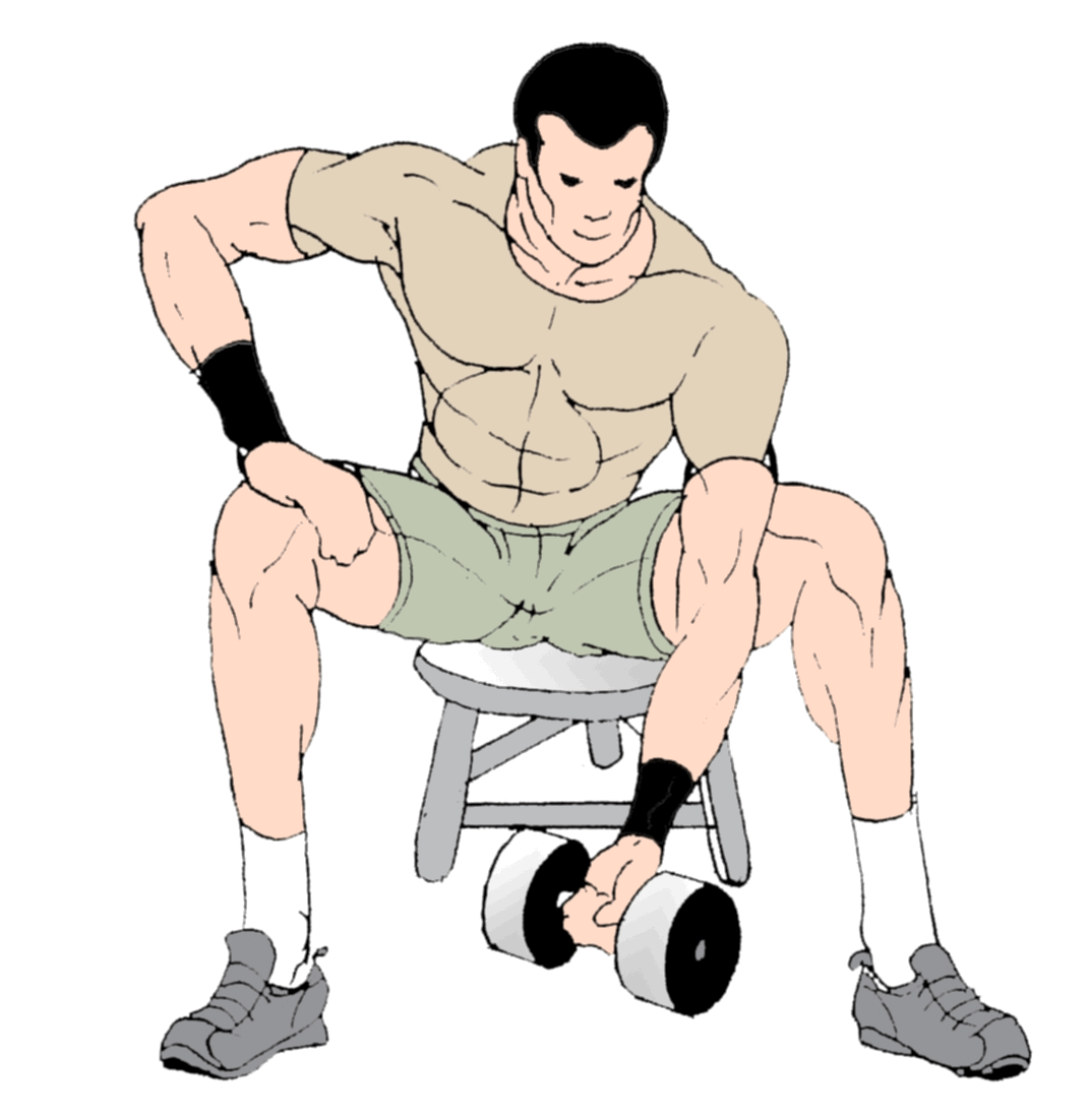 Я использую мускулы для доминирования. Упражнения на бицепс gif. Упражнения с гантелями. Упражнение на бицепс с гантелей. Упражнения на бицепс сидя gif.