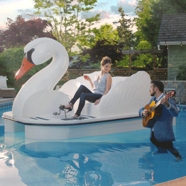 serenade,let me love you,wine,mothers day,wife,swan,pool,mom,relax,yolo,living the dream,guitar guy,swan boat,dream boat