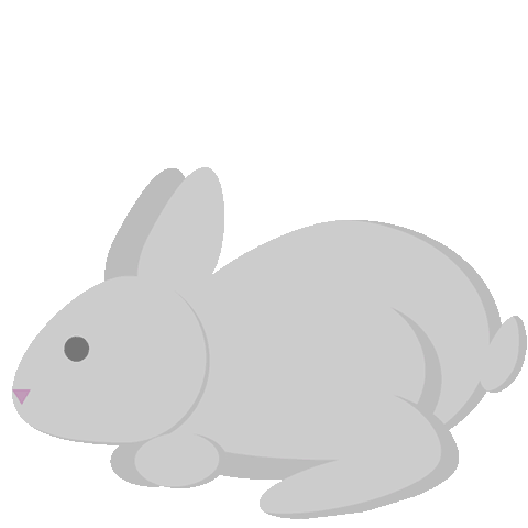 rabbit,bunny,easter,hop,sticker,text,android,wiggle,soft,transparent,cute,animal,jump,adorable,ios,egg,sms,hi art