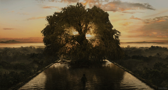 cinemagraph,the fountain,cinemagraphs,sunset,movies,film,water,hugh jackman,tech noir,tree of life,tom creo