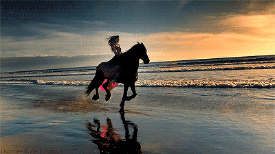 beach,sunset,horse,ocean,waves,sea,running,horse galloping,gallop,fresian,equestrian,rider