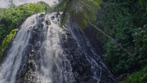 waterfall,micronesia,earth porn,pohnpei