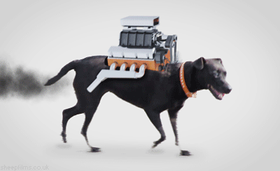 engine,dog