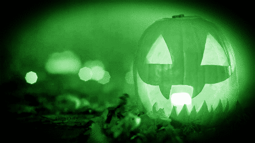 green,halloween,pumpkin