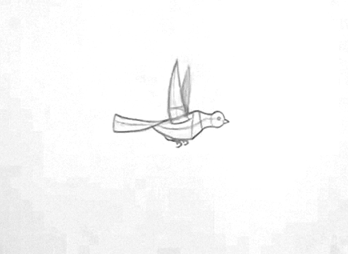 bird,flight,animation,art,hoppip,misc,imt,art design