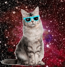 sassy,deal with it,galaxy,art,cat,indie,glasses,hipster