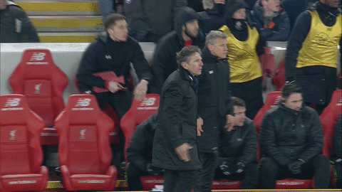 happy,soccer,excited,celebration,epl,southampton,wembley,claude puel,when it hits