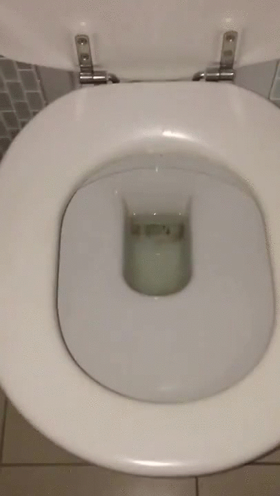 australia,toilet