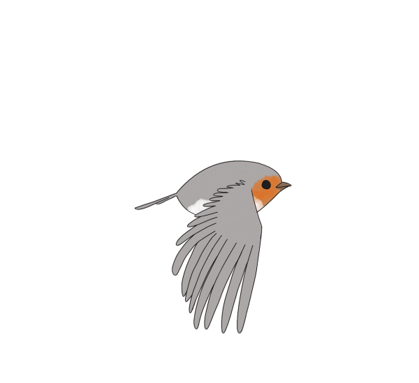 Animated GIF: bird robin animation.
