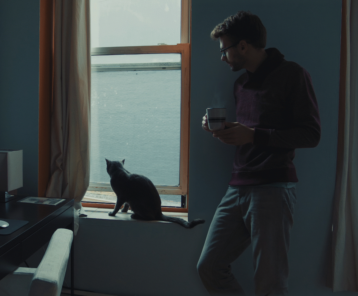 Window gif. Человек у окна с котом. Одинокий парень с котом. Мужчина с котом у окна. Мальчик с котом у окна.