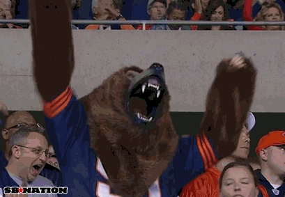 chicago bears,images,fan,chicago,bears