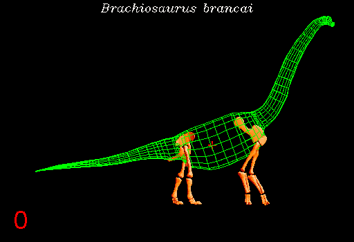 dinosaur,braciosaurs brancai