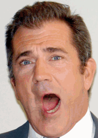 mouth,mel gibson,wtf,man,face,actor