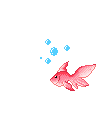 fish,transparent,pixel,swim,pixels,pink,pace
