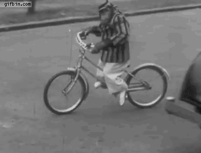 vintage,bicycle,monkey,black and white