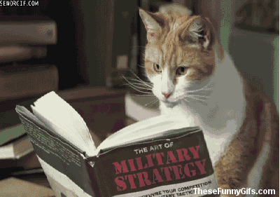 books,milatary,book,kitty,kitten,kittens,cute cats,cats on tumblr