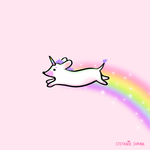 unicorn,pink,stefanie shank,dachshund,magic,doxie,unicorns,pastel rainbow,pup,cute,pastel,fly,rainbow,sparkle,animation,loop,illustration,puppy,stef shank,unicorn day,find your unicorn,happy unicorn day