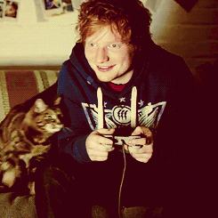love,cat,drunk,ed sheeran