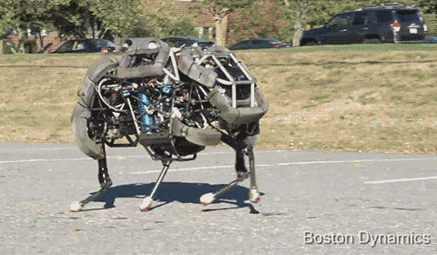 robot,walk,machine,atlas is doing the walk of shame