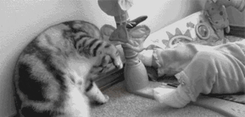 cute,funny,cat,baby,yoga