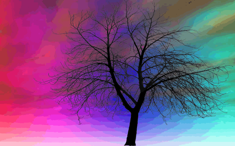 colors,tree,rainbow,artists on tumblr,net art,tumblr art,art