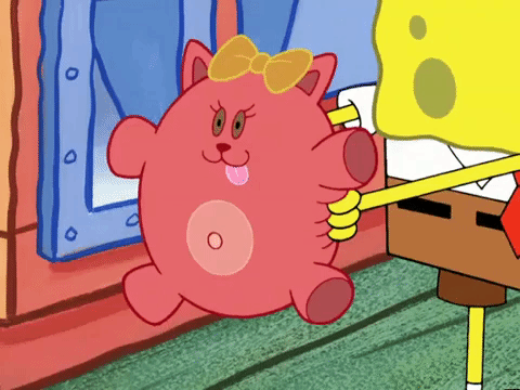 Spongebob squarepants season 4 episode 4 GIF.